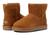 color Chestnut 1