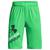 color Green Screen/Greenwood 4