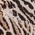 color Snake Ivory 4