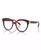 color Gradient Tortoise 1