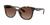 color Brown Gradient Polar 1