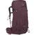 color Elderberry Purple 1