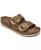 color Brown 1