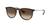 color Brown Gradient 0