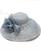 color Pale Blue 1
