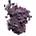 color 34 SPARKLING PURPLE 15