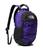 color Peak Purple/TNF Black 1