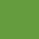 color GRASS GREEN 0