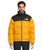 color Summit Gold/TNF Black-R 5