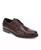 color Chestnut 2