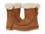 color Chestnut 1