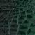 color Evergreen 0