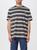 color STRIPED 1