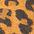 color leopard 2