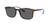 color Polarized Grey 2
