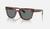 color Polished Striped Havana/Dark Blue 3