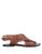 color Brown 1