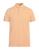 color Apricot 1