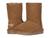 color Chestnut 1