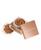 color Cinnamon 2