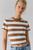 color Brown Stripe 1