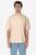 color Beige 5