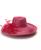 color Fuschia 1