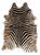 color AFRICAN ZEBRA 3