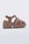 color Brown 1