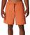 color Desert Orange 3