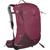 color Elderberry Purple/Chiru Tan 1