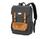 color black & tan 2