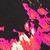 color Black/Shocking Pink 0