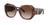 color Brown Gradient 1
