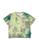 color Sage green 1