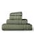 color Sage Green 19