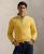 color Fall Yellow 7