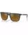 color Matte Brown 1