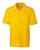 color lemon 2