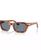 color Brown Tortoise 1