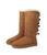 color Chestnut 1
