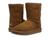 color Chestnut 1