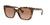 color Light Brown Gradient Dark Brown 1