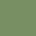 color HAVANA GREEN 2