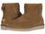 color Chestnut 1