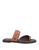 color Brown 2