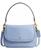 color bluebell 2