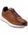 color British Tan 1