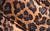 color CHEETAH 0