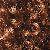 color Honey Brown 1